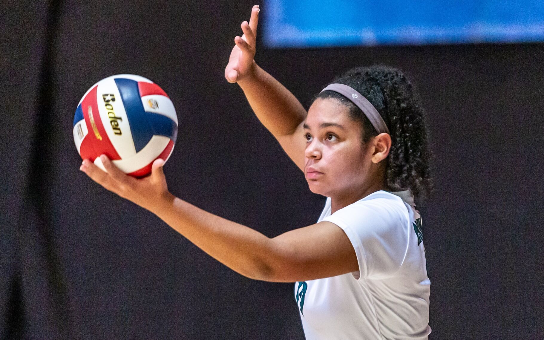 Nerinx Hall vs. Willard volleyball